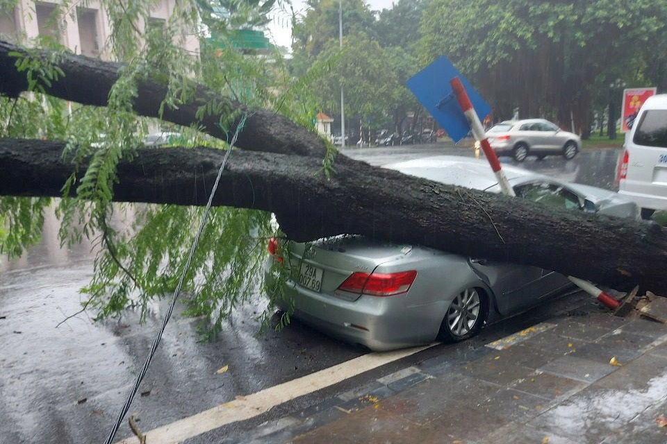 Cây me cổ thụ bật gốc đè bẹp xe Camry trong cơn mưa lớn ở Hà Nội - Ảnh 4.