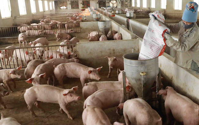 Giá lợn hơi chạm đáy, thịt lợn ở chợ và siêu thị vẫn 'đứng im' - Ảnh 1.