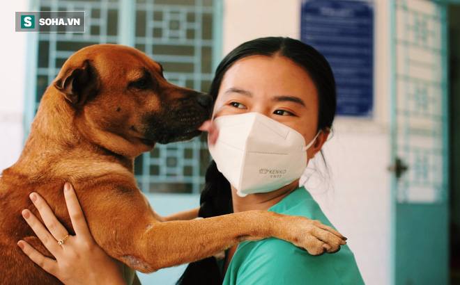 Chủ mất vì COVID-19, chú chó được tình nguyện viên nuôi dưỡng rồi cũng qua đời: ‘Nó không đợi được ngày để tang chủ’