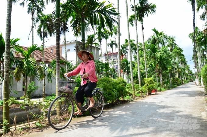 Loại cây ở Việt Nam ăn một nắm muối, trả một phân vàng - Ảnh 3.