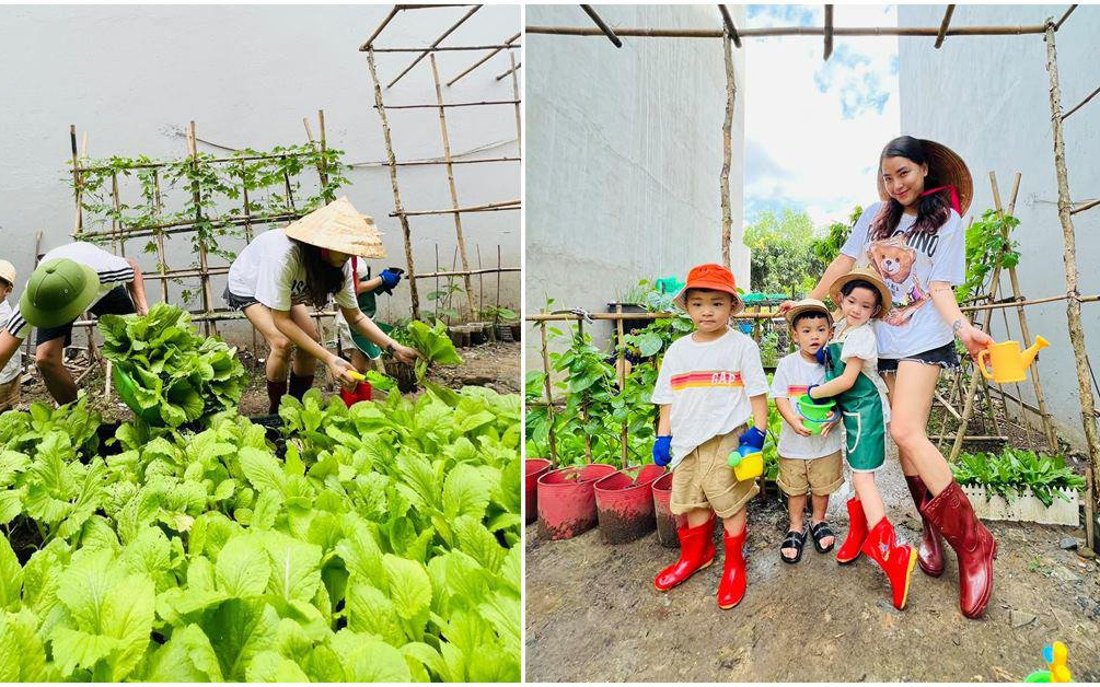 Kiếm 2 tỷ/1 tháng Hải Băng Thành Đạt vẫn tự trồng rau xanh ngắt để nuôi 3 con