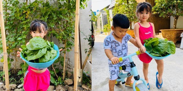 Kiếm 2 tỷ/1 tháng Hải Băng Thành Đạt vẫn tự trồng rau xanh ngắt để nuôi 3 con - Ảnh 13.