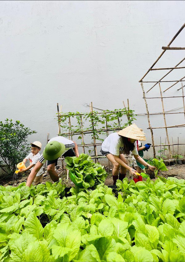 Kiếm 2 tỷ/1 tháng Hải Băng Thành Đạt vẫn tự trồng rau xanh ngắt để nuôi 3 con - Ảnh 5.