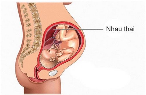 8 điều kỳ lạ xảy ra với cơ thể khi mang thai không ai nói với bạn - Ảnh 1.