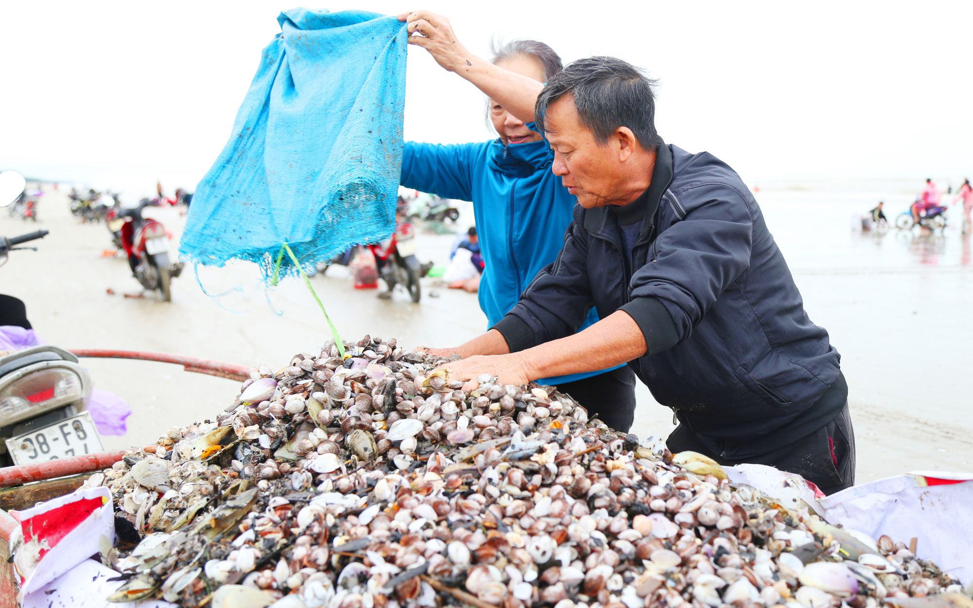 Ngư dân Hà Tĩnh ra biển vớt 'lộc trời' sau bão