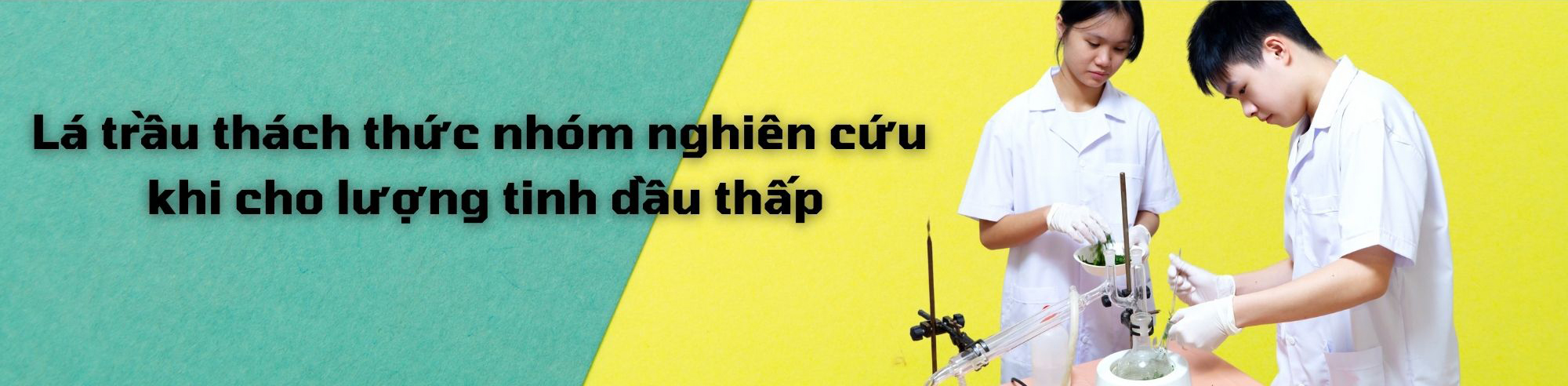 Đạt 2 giải vàng Quốc tế khát vọng tuổi trẻ hướng đến những điều tử tế    - Ảnh 5.