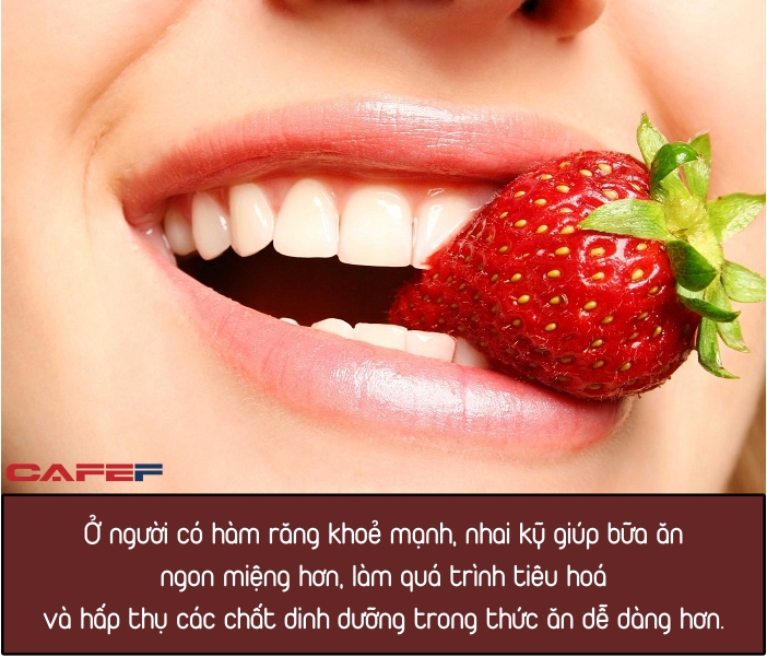 Người sống thọ thường có 6 biểu hiện bên ngoài thường thấy nhất: Nếu ai có nhiều hơn 3 thì xin chúc mừng - Ảnh 1. Người sống thọ thường có 6 biểu hiện bên ngoài thường thấy nhất: Nếu ai có nhiều hơn 3 thì xin chúc mừng - Ảnh 1.