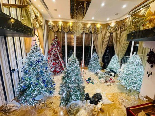 Hậu ly hôn, mới cuối tháng 10, Đàm Vĩnh Hưng đã trang trí Noel trong biệt thự 90 tỷ - Ảnh 4.