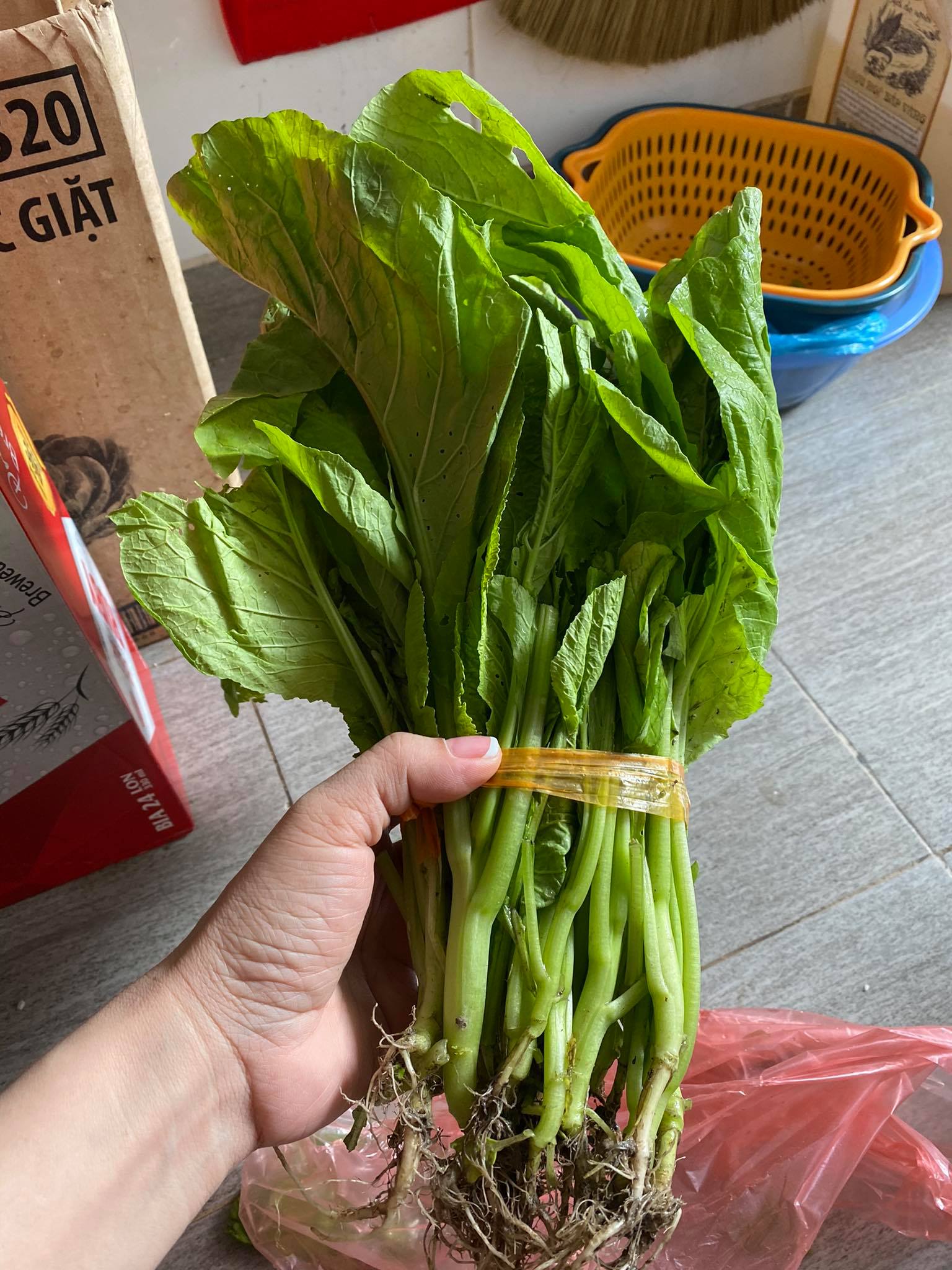 Chỉ 3 ngày không đi chợ, người dân choáng váng với giá rau cải mơ 50. ...