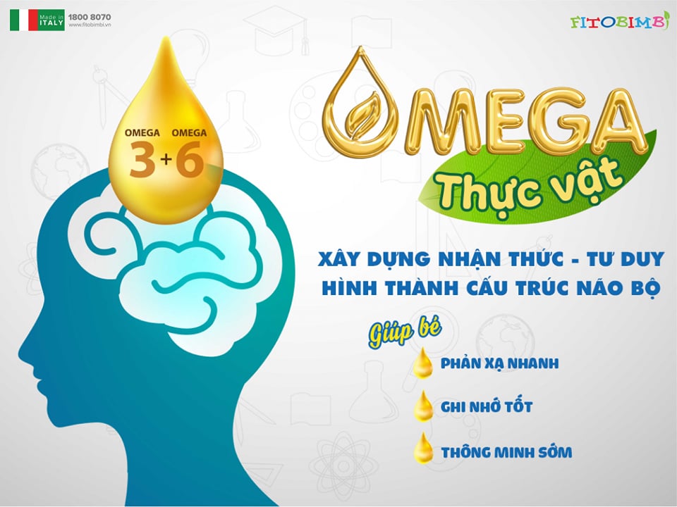 Mẹ cần biết: Sự thật không ngờ về DHA từ động vật và DHA từ thực vật - Ảnh 2.