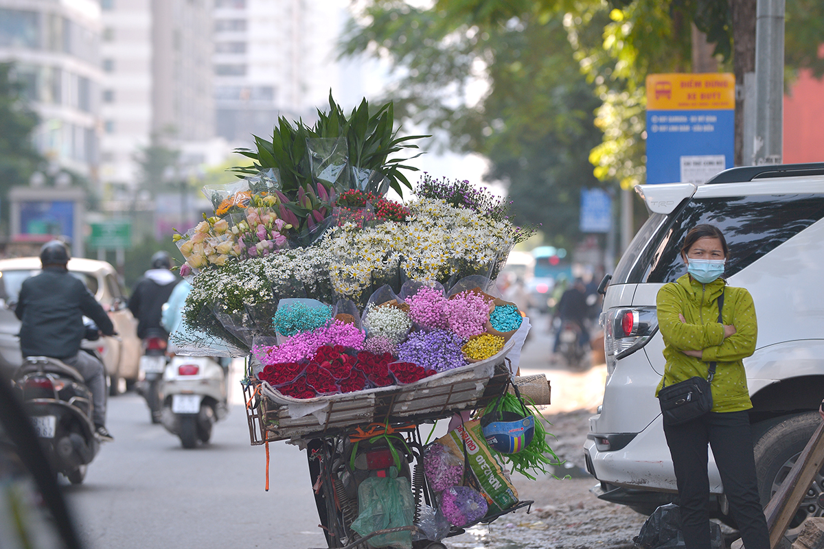 Cúc họa mi tinh khôi giữa lòng phố phường Hà Nội - Ảnh 7.