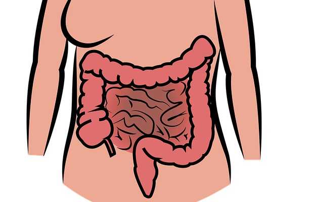 Malabsorption-syndrome-ke-lakshan-karan-upchar-bachav-ilaj-dawa-in-hindi.jpg