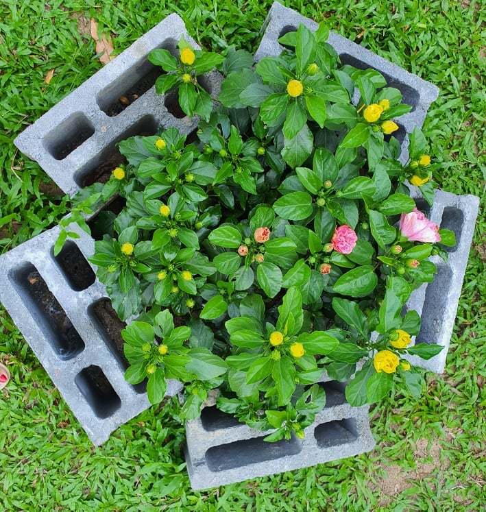 Sức hút khó cưỡng từ ngôi nhà 110m2, đồ đạc tối giản hết mức - Ảnh 18. Sức hút khó cưỡng từ ngôi nhà 110m2, đồ đạc tối giản hết mức - Ảnh 18.