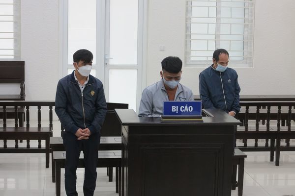 Gấu 'nguỵ trang' th&agrave;nh hổ ở H&agrave; Nội, lừa b&aacute;n cho kh&aacute;ch lắm tiền