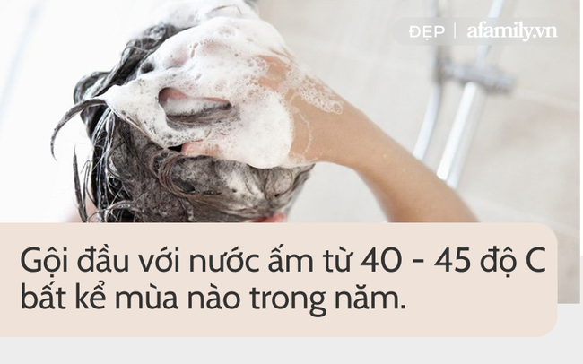 Dầu gội trị rụng tóc cho nam 17 loại dầu gội ngăn rụng tóc tốt