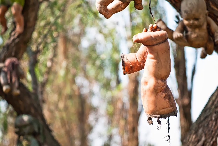 Rợn tóc gáy với "đảo búp bê" Isla de las Munecas của Mexico, đáng sợ hơn cả phim Annabelle - Ảnh 6.