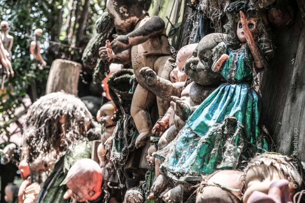 Rợn tóc gáy với "đảo búp bê" Isla de las Munecas của Mexico, đáng sợ hơn cả phim Annabelle - Ảnh 4.