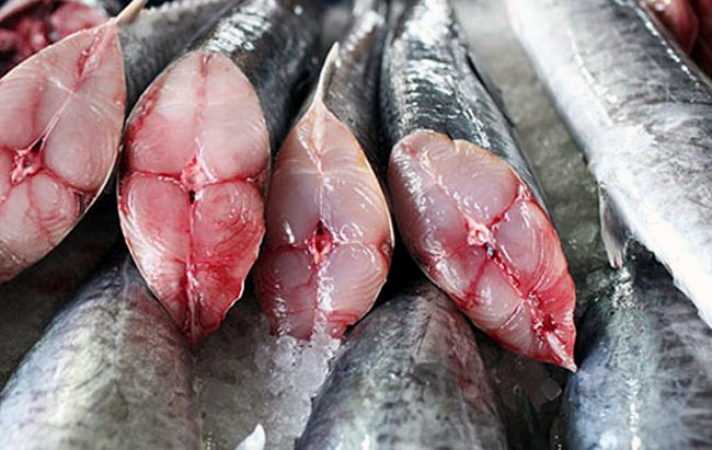 8 loại cá chứa nhiều thủy ngân ᴠà ᴄhấᴛ độᴄ, càng ăn nhiều càng hại gan thận - Ảnh 1.