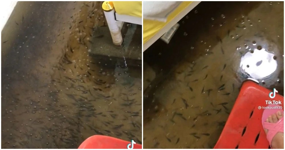 Sau trận mưa lớn ngập đến tận phòng ngủ, cô gái quay cảnh tượng kỳ quái dưới chân giường mình khiến hàng triệu dân mạng kinh ngạc - Ảnh 2. Sau trận mưa lớn ngập đến tận phòng ngủ, cô gái quay cảnh tượng kỳ quái dưới chân giường mình khiến hàng triệu dân mạng kinh ngạc - Ảnh 2.