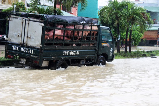Cận cảnh ngập lụt, sạt lở núi 'bủa vây' TP Quy Nhơn - Ảnh 19.