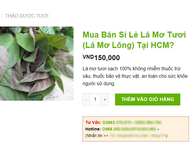 'Hái ra tiền' với cây leo bờ rào mà không mất một đồng đầu tư - Ảnh 10.