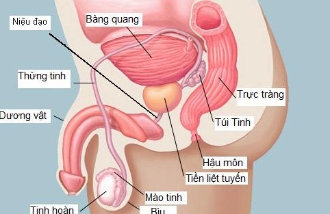 Căn bệnh nam giới U50 ai nghe cũng sợ, hãy thay đổi ngay 4 thói quen này, nếu có dấu hiệu cần được khám ngay - Ảnh 2.