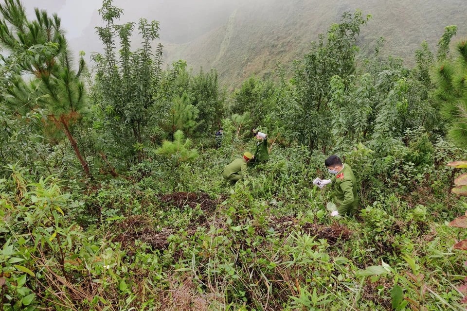 Xe KIA Morning lao xuống vực s&acirc;u M&atilde; P&igrave; L&egrave;ng, 3 người tử vong - Ảnh 1.