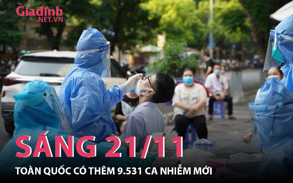 Tình hình COVID-19 trên toàn quốc 21/11