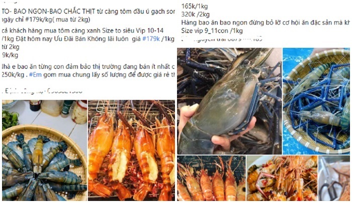 Tôm càng xanh cỡ đại rẻ khó tin, khách mua ngán ngẩm lắc đầu - Ảnh 3. Tôm càng xanh cỡ đại rẻ khó tin, khách mua ngán ngẩm lắc đầu - Ảnh 3.