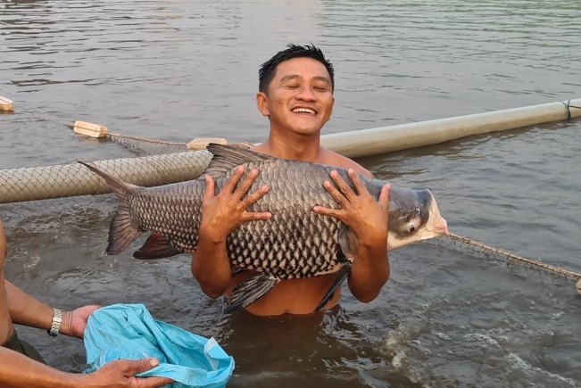 Chàng trai Tiền Giang nuôi cá 'khủng' hốt bạc tỉ mỗi năm - Ảnh 2.