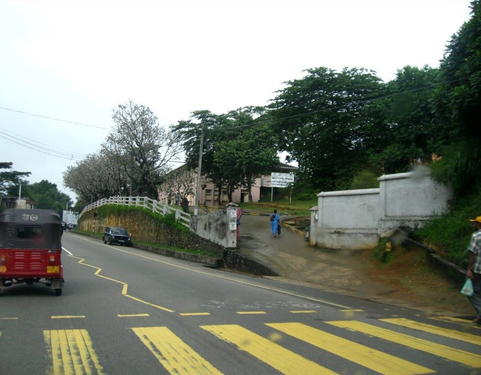  - Ảnh 2.