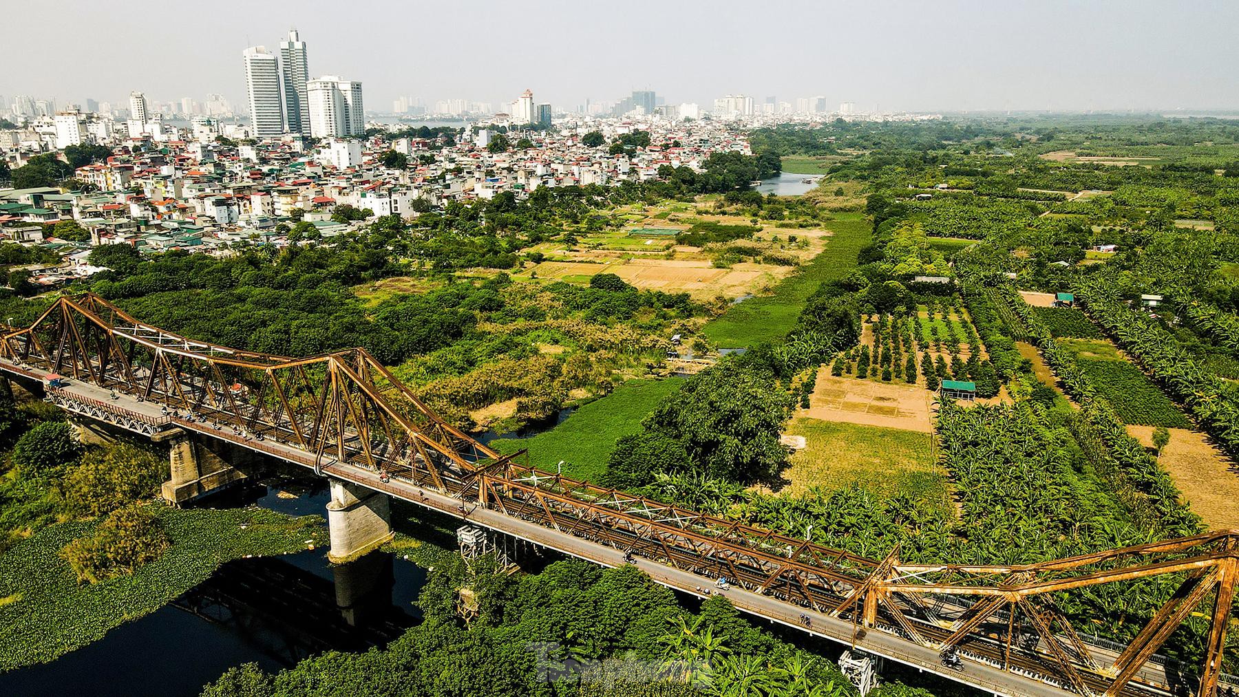 Cánh đồng cỏ lau đẹp nên thơ quên lối về dưới chân cầu Long Biên - Ảnh 4.