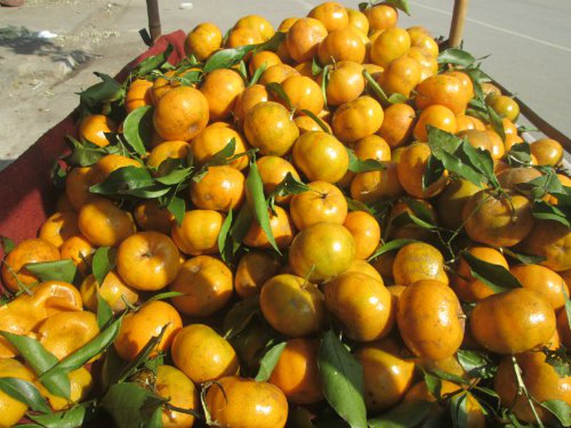 Cách phân biệt 7 loại trái cây bán đầy chợ dễ bị ngâm ủ hóa chất - Ảnh 5.