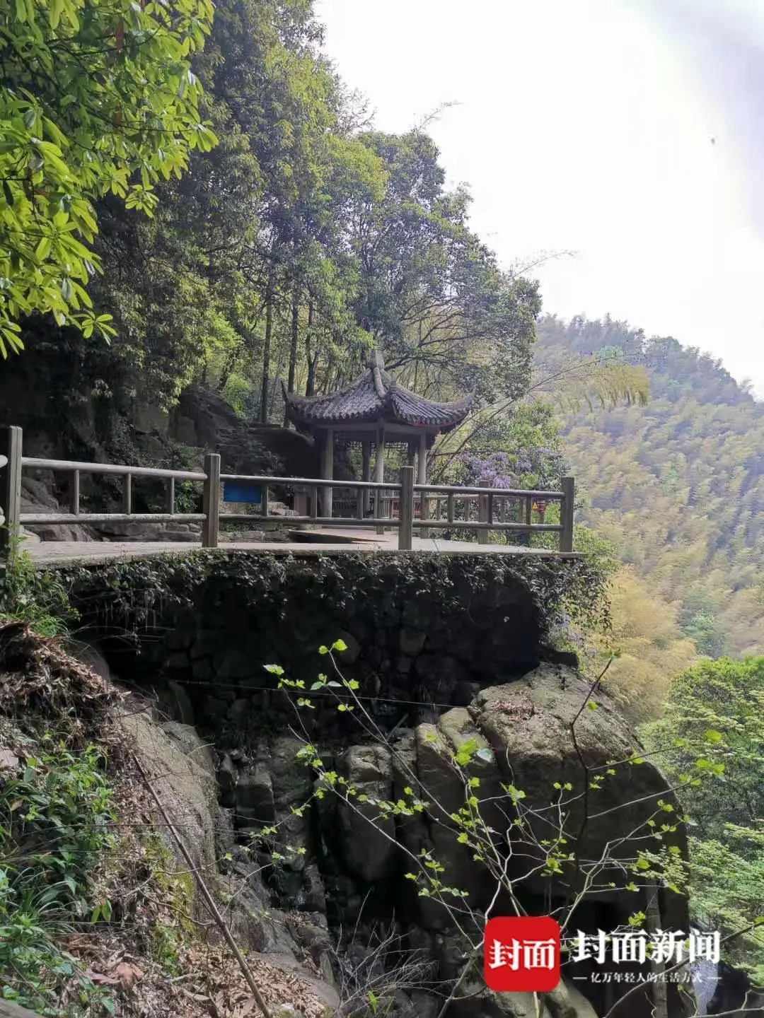 Bà mẹ bị người qua đường đẩy xuống vách đá khi cho con tiểu bậy ở khu thắng cảnh, phán quyết của tòa án khiến nhiều người bật ngửa - Ảnh 1. Bà mẹ bị người qua đường đẩy xuống vách đá khi cho con tiểu bậy ở khu thắng cảnh, phán quyết của tòa án khiến nhiều người bật ngửa - Ảnh 1.