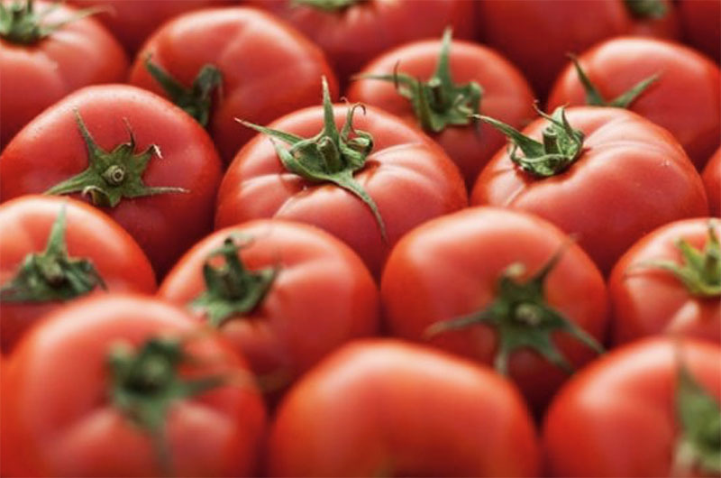 Loại cà chua mới 500 ngàn/kg, ăn vào giảm huyết áp - Ảnh 1.