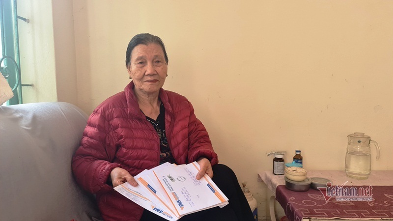 Bà cụ 85 tuổi ở Thanh Hóa bị giật tiền thừa kế ngay tại trụ sở thi hành án - Ảnh 1.
