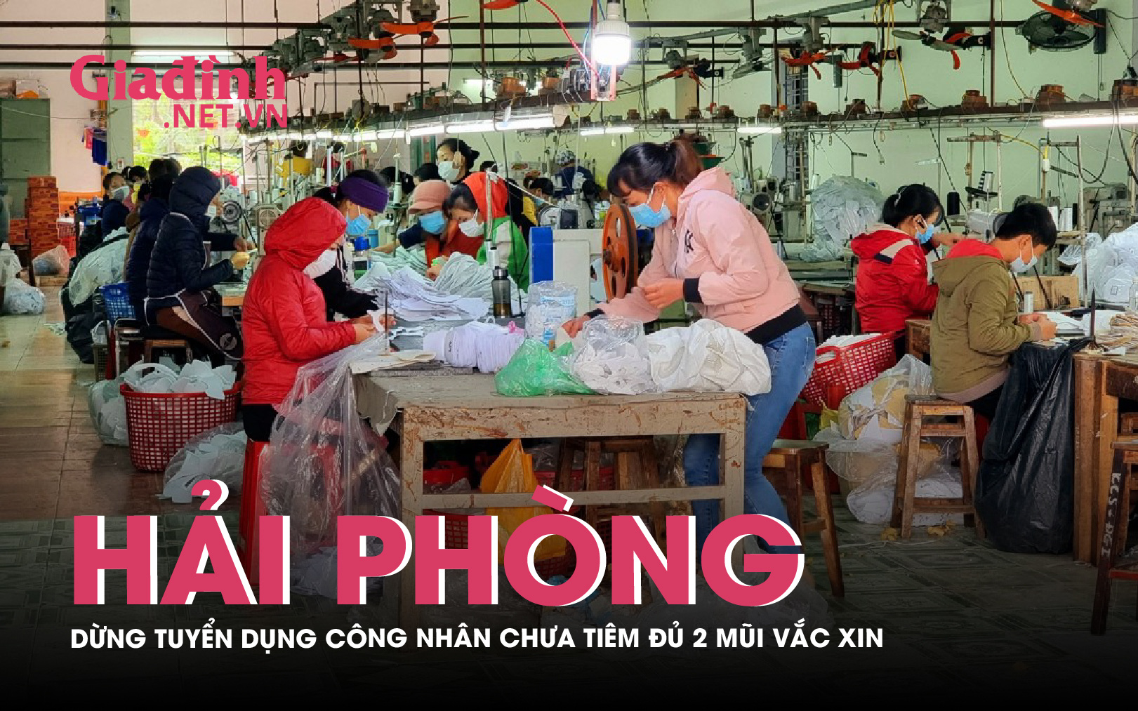 Hải Phòng: Dừng tuyển dụng công nhân không tiêm đủ vắc xin