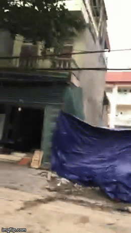 - Ảnh 1. - Ảnh 1.