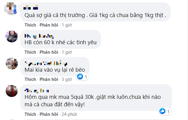 Giá cà chua bỗng tăng vùn vụt, nhanh hơn cả giá vàng khiến chị em nội trợ choáng váng - Ảnh 3.