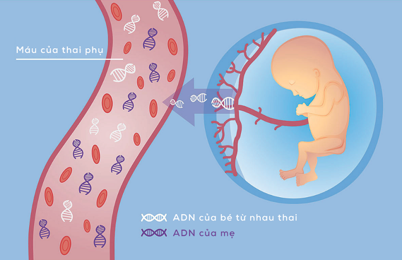 Nguyên nhân gây dị tật bẩm sinh, cha mẹ nhất định phải biết - Ảnh 2.