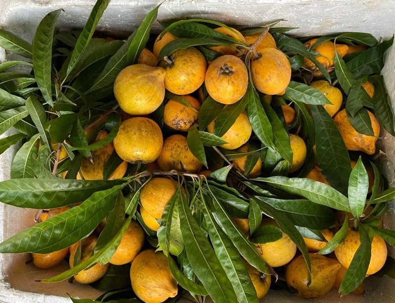 Siêu thực phẩm Amazon bán 1,5 triệu/kg, chợ Việt chỉ 15.000 đồng - Ảnh 2.