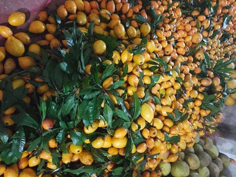 Siêu thực phẩm Amazon bán 1,5 triệu/kg, chợ Việt chỉ 15.000 đồng - Ảnh 3.