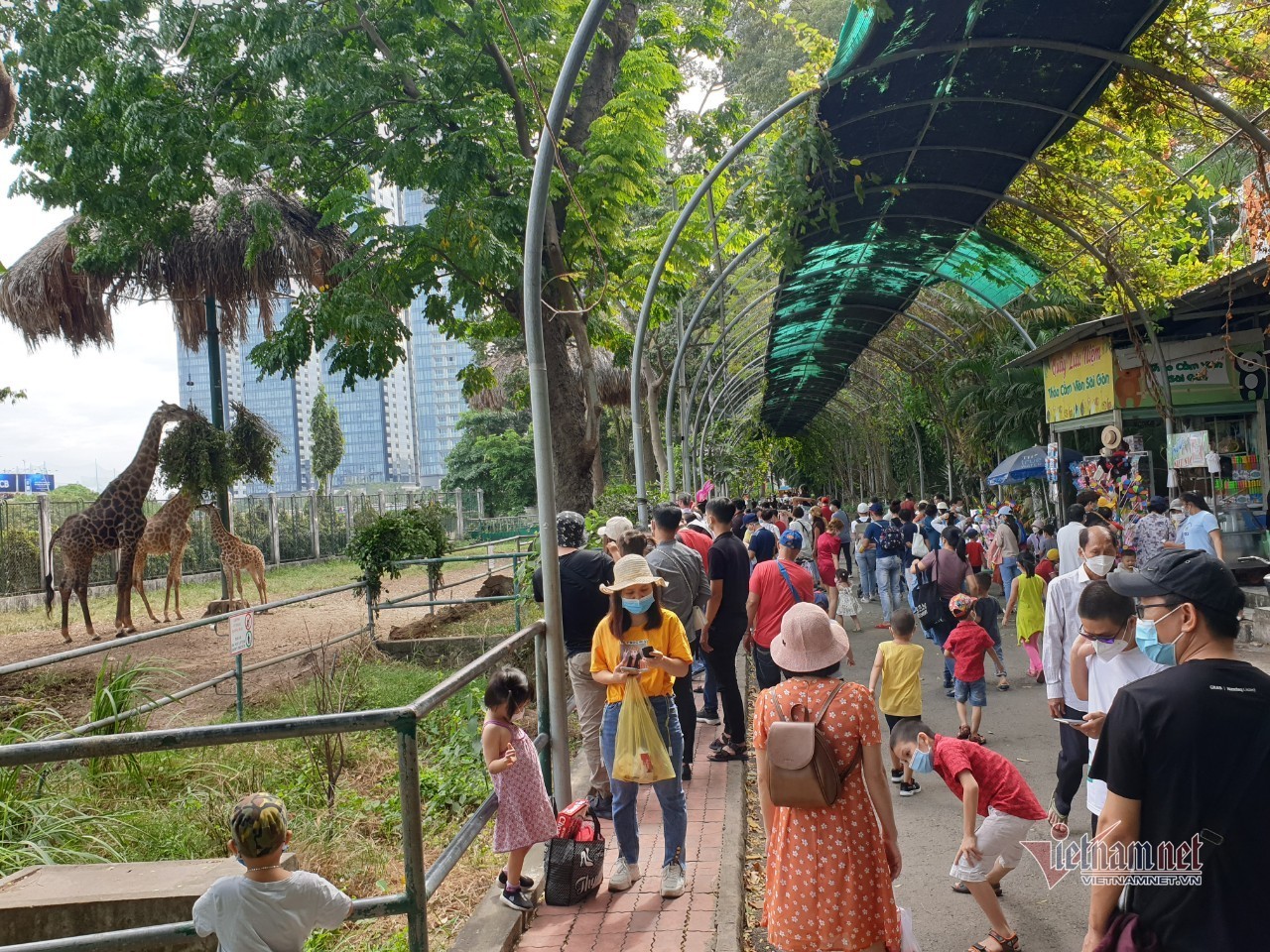 Thảo Cầm Viên Sài Gòn bất ngờ đón hàng nghìn khách vui chơi ngày cuối tuần - Ảnh 7.