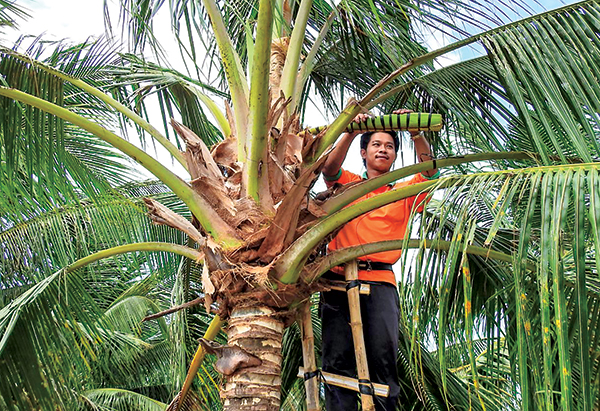 Khó tin nghề trả lương cao ngất ở Việt Nam vẫn thiếu người làm - Ảnh 8.