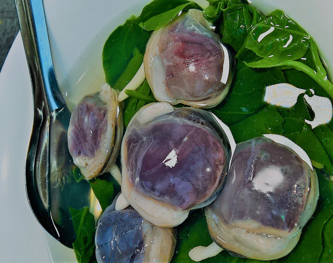 Loài hải sản có tên xấu dã man, nhưng nổi tiếng là món ăn ngon nhất là thứ rượu ngâm ông uống bà khen - Ảnh 3. Loài hải sản có tên xấu dã man, nhưng nổi tiếng là món ăn ngon nhất là thứ rượu ngâm ông uống bà khen - Ảnh 3.