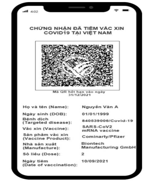 Tin sáng 22/12: Hà Nội tổ chức bắn pháo hoa giao thừa ở đâu?; bên trong khu hỏa thiêu người tử vong vì COVID-19 ở TP.HCM - Ảnh 8.