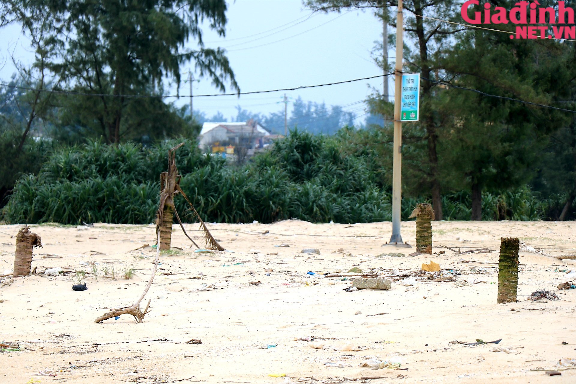 Ảnh: Bãi biển biến thành &quot;bãi rác&quot; sau mưa bão ở Thừa Thiên Huế - Ảnh 7.