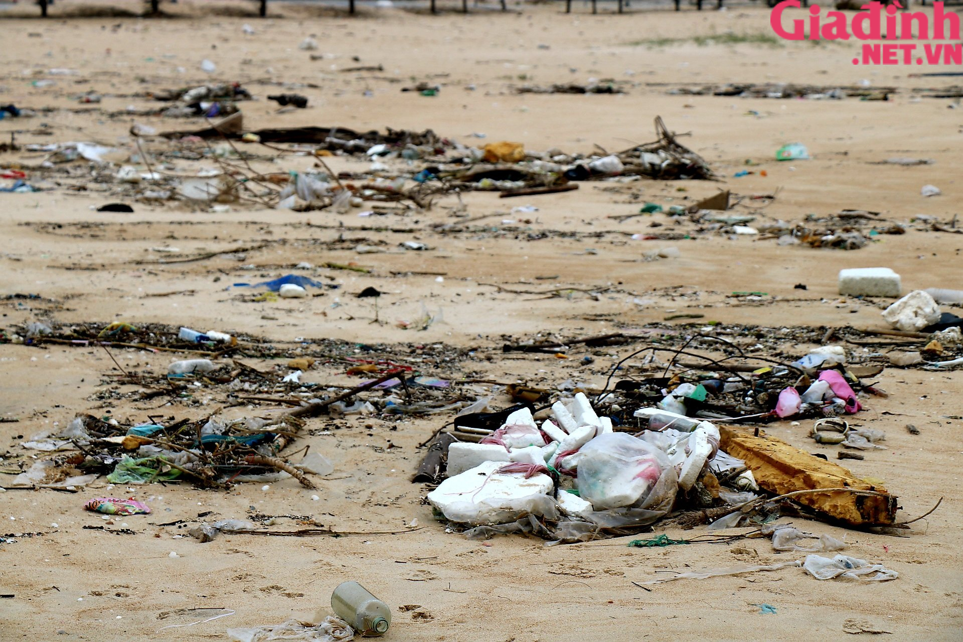 Ảnh: Bãi biển biến thành &quot;bãi rác&quot; sau mưa bão ở Thừa Thiên Huế - Ảnh 2.