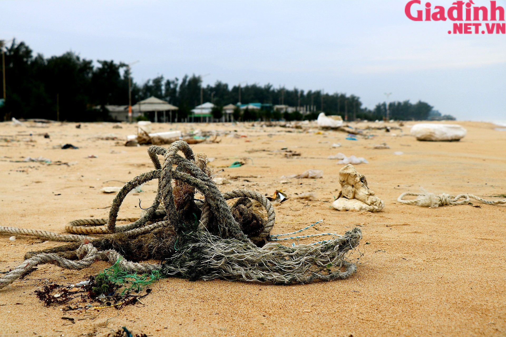 Ảnh: Bãi biển biến thành &quot;bãi rác&quot; sau mưa bão ở Thừa Thiên Huế - Ảnh 6.