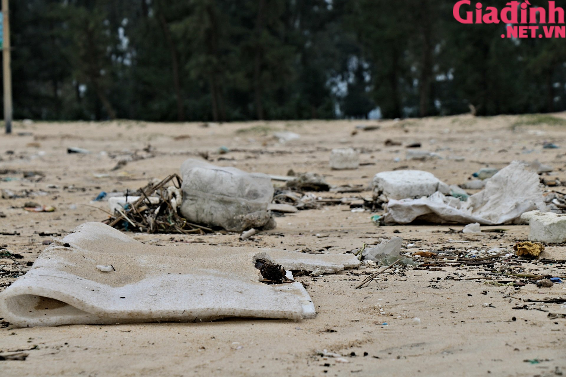 Ảnh: Bãi biển biến thành &quot;bãi rác&quot; sau mưa bão ở Thừa Thiên Huế - Ảnh 5.